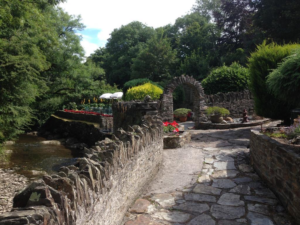 The Old Mill House Bed & Breakfast Padstow Cameră foto